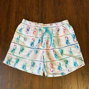 NWOT CHUBBIES 5" Lined Swim Trunks in Tropical Multi Pineapples Prints